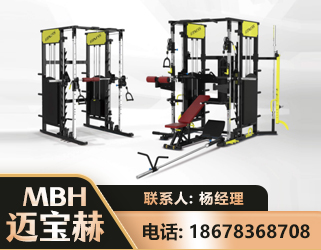 博尔塔拉多功能综合训练器