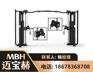 博尔塔拉大飞鸟训练器
