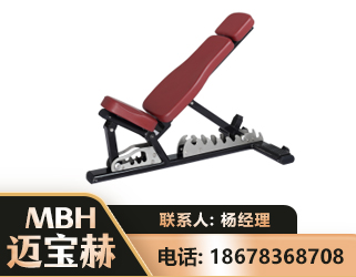 博尔塔拉可调哑铃椅