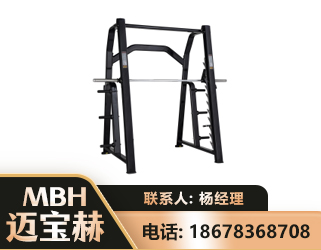 博尔塔拉史密斯机